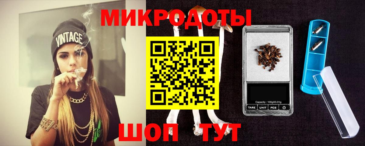 Черняховск  Галлюциногенные грибы Psilocybe  Вход с VPN 