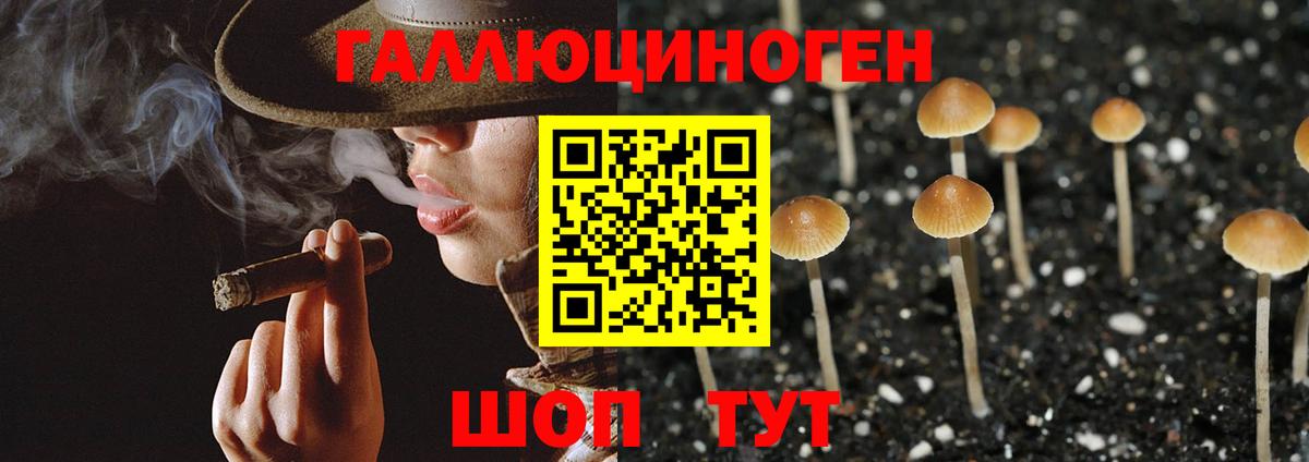 Галлюциногенные грибы мицелий Черняховск